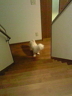 �̂͂̂ڂꂽ�̂�