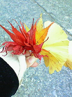 ����[���I