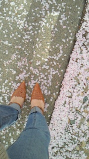 ���̂��イ����