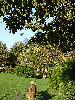 ������邤����