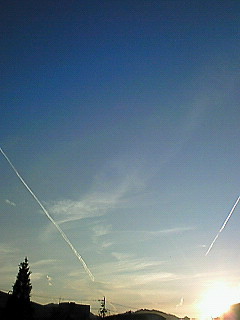 ���ꂢ���I