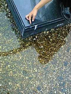 �I������[