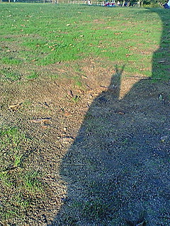 �҂�������