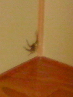 ���Ⴀ������������������������