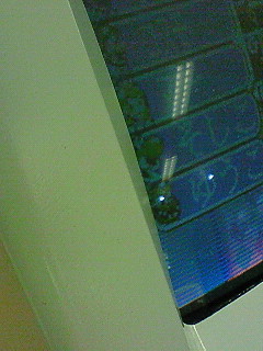 �{�E�����O