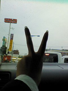 ������������������������������