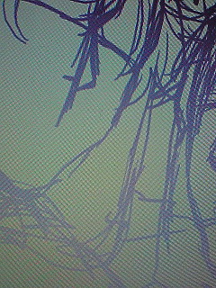 �⎞�@�y���@�y�A