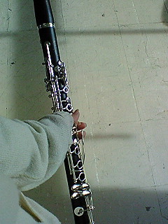 ���̓��L�T�������