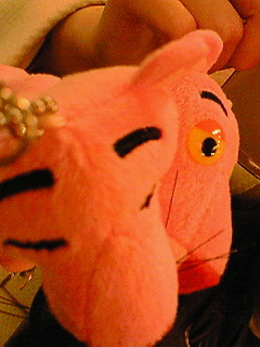 ������K���s���Ă��܂��I