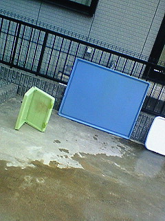 �����̉�