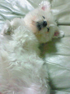 ���키�����키��*�L�ցM