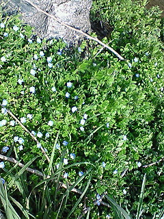 �������I