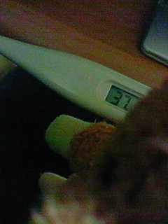 ������Ƃ��股�Ǝv������