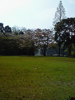 ���h������