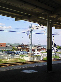 �����V�C��