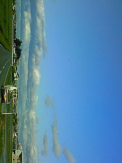 ���t�����������