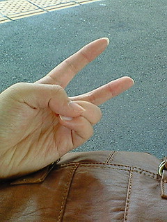 �����ň�����